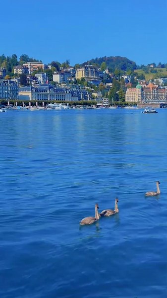 Why Lake Lucerne hits different 🏔️💙 #Switzerland #TravelShorts