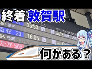 [I only know the name] What's there to see in Tsuruga, the last stop on the Hokuriku Shinkansen? ...