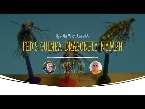 Fly of the Month, June 2025 | Fed's Guinea Dragonfly Nymph