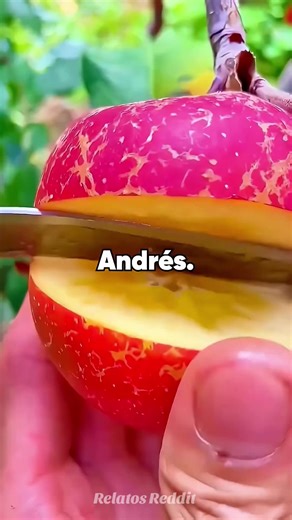 La boda y el drama familiar: historia de Reddit