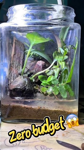 Zero budget aquarium set up 😱🐟#minivlog #shortvideo #fishtank #fish #aquarium ￼￼