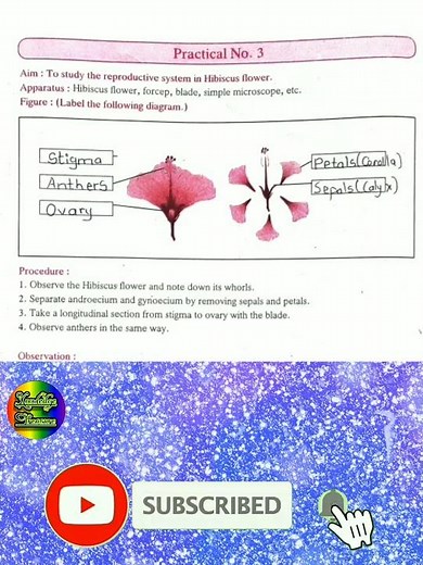 Class 10 Science -2 Practical Book Practical 3 Solutions || Class 10 Science Practical Book Answer