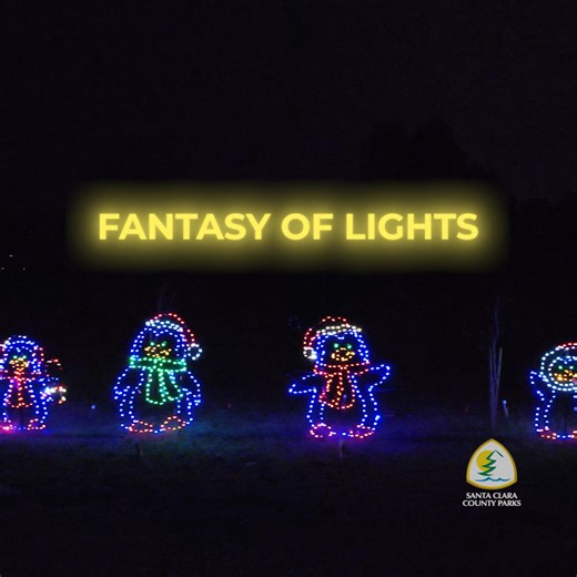 As the days grow shorter, the lights at Vasona Lake County Park grow brighter! We're counting down the days until we can welcome you for an utterly magical experience. This holiday tradition is enjoyable from the warmth and comfort of your own car. Learn more at parkhere.org and let the magic unfold! Drive-thru tickets available at https://bit.ly/FOL25-Drive-Thru-Tickets Prepaid tickets required. | Santa Clara County Parks