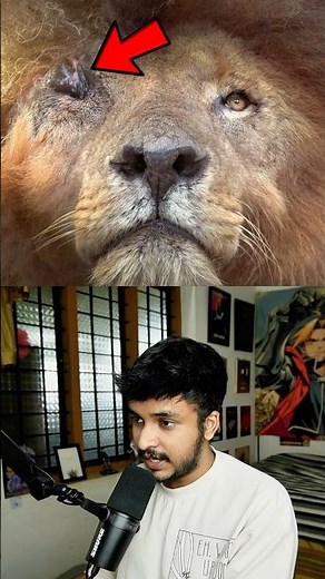 The Story of the REAL Lion King: Scarface