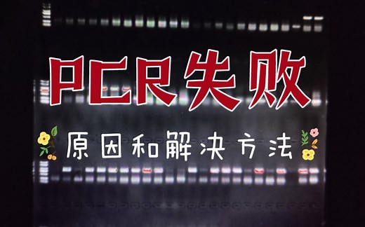 【实验基础】PCR实验失败原因及解决方案
