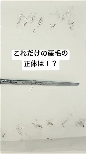最近耳の穴が痒くて見て欲しい、他人の耳毛を見て自分が生えているかどうか確認してほしい、そんな方の来店が多いです。誰でも最初は産毛で、そこから成長して立派な耳毛になります。￼ #shorts #耳かき