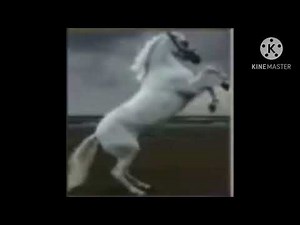 Vocal Zoo: Horse Sound