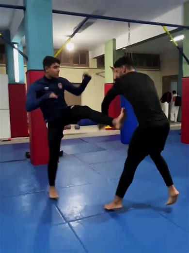 Kyokushin Training Techniques for Martial Arts Enthusiasts