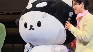 这个小家伙真的是招人喜欢！cr：见水印