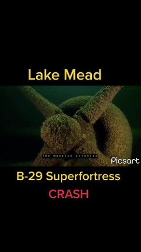 Lake Mead B-29 crash occurred July 1948 when a Boeing B-29-100-BW Superfortress, modified into an F-13 reconnaissance platform and performing atmospheric research, crashed into the waters of Lake Mead #fyp #lakemead #viral #trending #lasvegas #shorts #reels #lakemeaddrought #super #fortress #b29 #b29superfortress #crash #crashes #crashed #fail #fails #history #airforce #airplane #air #airplanes #plane #planes #ww2 #ww2history #tiktok #retro #fypage #fypシ #reelsinstagram #viraltiktok #viralvideo 