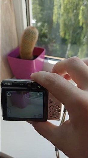 💥Camera digital Canon IXUS 800 IS💥