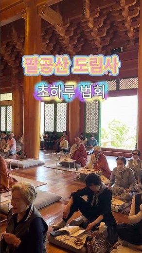 팔공산 도림사 초하루 법회 #대구도림사 #팔공산도림사 #초하루 #초하루법회 #일요법회 #가족법회 #소원성취 #소원성취발원 #축원 #천수다라니 #다라니경 #다라니기도