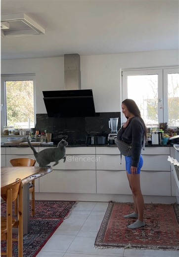 Jumpy Lila #fencecat | cats