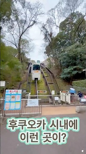 후쿠오카 시내에 이런 곳이? 나만 알고 싶은 숨은 명소🌳 #후쿠오카여행 #후쿠오카가볼만한곳 #아이와해외여행