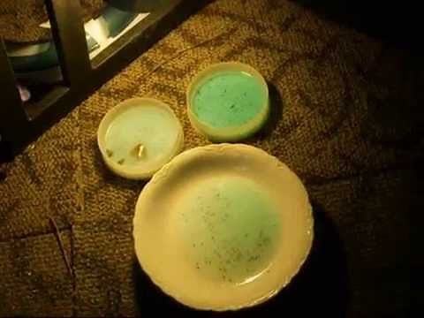 Safely killing a flea infestation