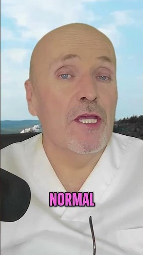 THE DIFFERENCES BETWEEN CAT AND DOG FOOD WHAT YOU NEED TO KNOW