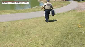 36M views · 14K reactions | This animal control officer walked over a quarter of a mile to help a mother duck with ducklings find water. | The National Desk - TND | Facebook