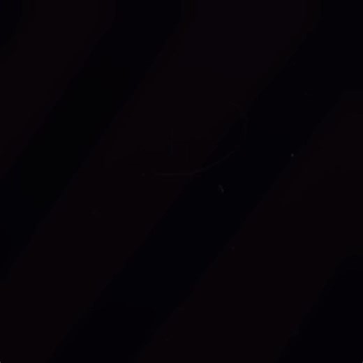 💙SONIC🦔 ✨AND✨ 🦊TAILS💛