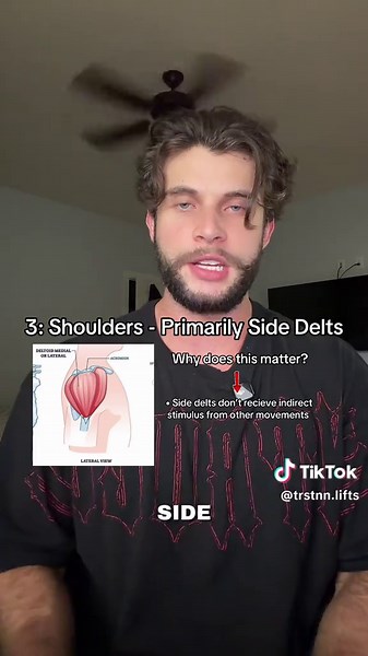 Top 3 Muscle Groups to Prioritize: Lats, Triceps, Shoulders