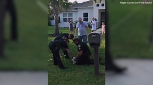 SEE YA LATER, ALLIGATOR🐊: Florida deputies wrangle alligator outside home ‘where kids frequently play’ http://bit.ly/3Dty1li | WFLA News Channel 8