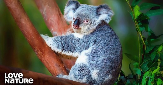 8.3K views · 151 reactions | Join us in this captivating series that...