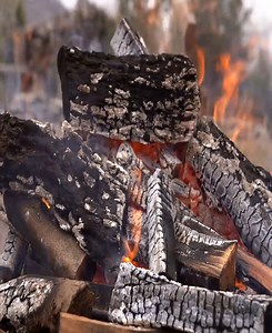 45K views · 1.6K reactions | Campfire Cooking Hearty Meat Pie Recipe for Outdoor Feasts | Easy Life TV | Facebook