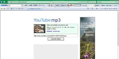 youtubefireが使えないので違う方法でダウンロードしました。