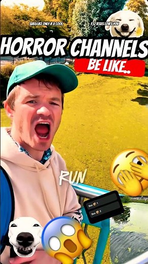 If You Hear a Fart, Run! 🐕😂 Dog Macarena Meme on Ring Cam! 😱Not a Dog Macarena Meme Chaos! 🕺🔥