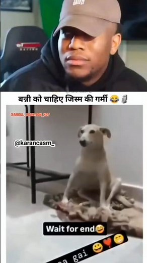 🐾 Funniest Dog Clips! #Shorts