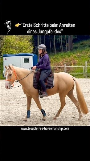 Erste Schritte beim Anreiten eines Jungpferdes | Jungpferdeausbildung leicht erklärt