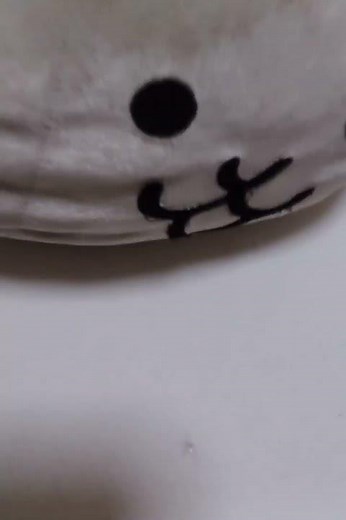 これ何?ンンンんンンンンンンンンン〜〜〜〜猫