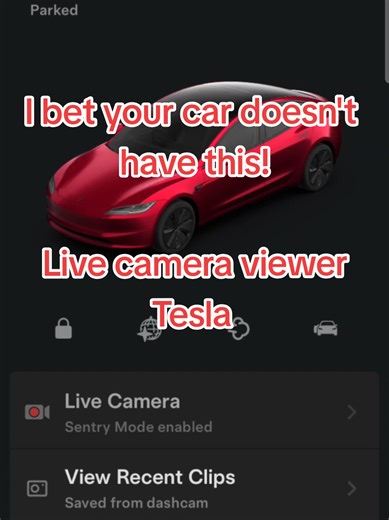 I bet your car doesn't have this feature! And it is the best security feature for any car! #tesla #model3 #sentry #security #securityguard