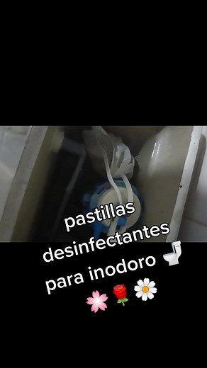 Cómo hacer pastillas desinfectantes para el inodoro