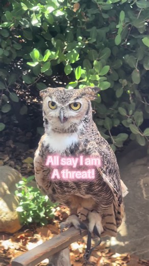 Native_mudd_runner 🪶🏃‍♀️❤️ (@native_mud_runner)’s videos with son original - 𝑫𝑴 𝑹𝑬𝑴𝑰𝑿 • 歌