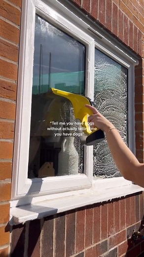 3.1K views · 62 reactions | They’re worth it though  It’s sooo good! 﫶 #cleaningmotivation #cleanwithme #motivation #springcleaningtips #amazonfinds #dogloverforlife #dogs #cleantok #fyp | Payten Richard | Facebook