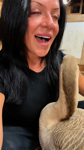 Karen is our collections department so what happens now? | Useless Farm