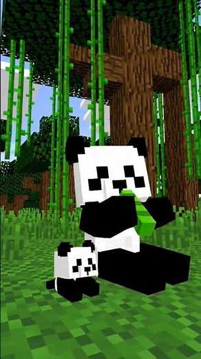 Adorable Panda Moments – Bamboo Feast in Minecraft