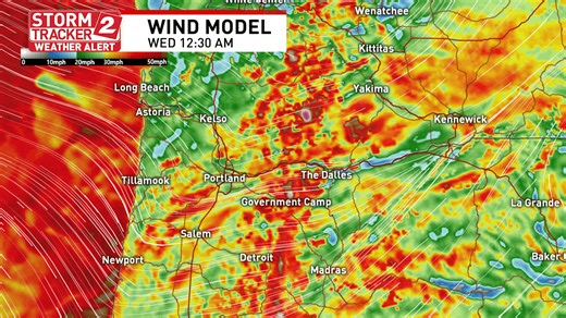 Pacific Northwest braces for storms with possible damaging winds, heavy rainfall