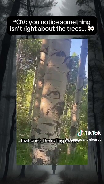 Exploring the Mystery of Walking Trees and Haunted Spaces