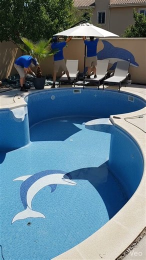 Step-by-Step Dolphin Pool निर्माण #marvel #dothingsyoudontwanttodo
