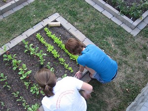 Comparing notes: New website lets student farmers connect, share resources