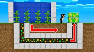 I Reached 1,000,000 XP Levels in Minecraft Survival