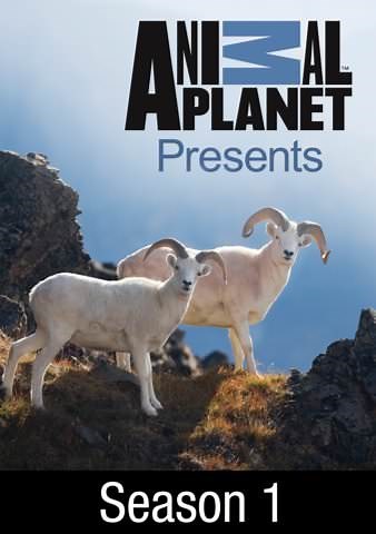 Animal Planet Presents: The Cannibal in the Jungle