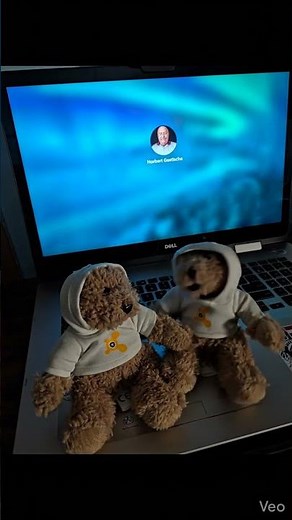 Avast Secure Browser - (Explained by the Avast Bears!)