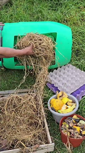 👉 How to easily make compost in a plastic tank | Quick and easy homemade method #plants #agriculture