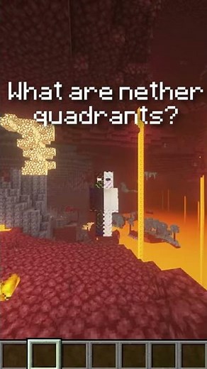 What are nether quadrants in minecraft? #shorts