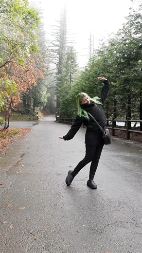 We Visit Bohemian Grove. Watch the full video on YouTube. #travel #bohemiangrove #sanfrancisco #explore #california | The Grimm Life Collective