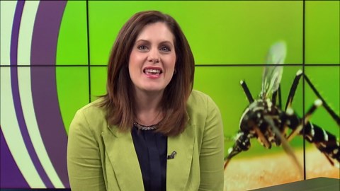 Fight the bite: Epidemiologist talks about why insects bite and how to practice prevention