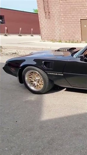 Imagine this beast pulls up next to you at the light