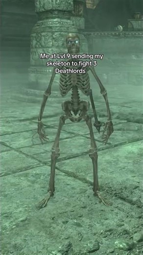 Skyrim: Summoning a Skeleton at Lvl 9 #skyrimspecialedition #skyrimmods